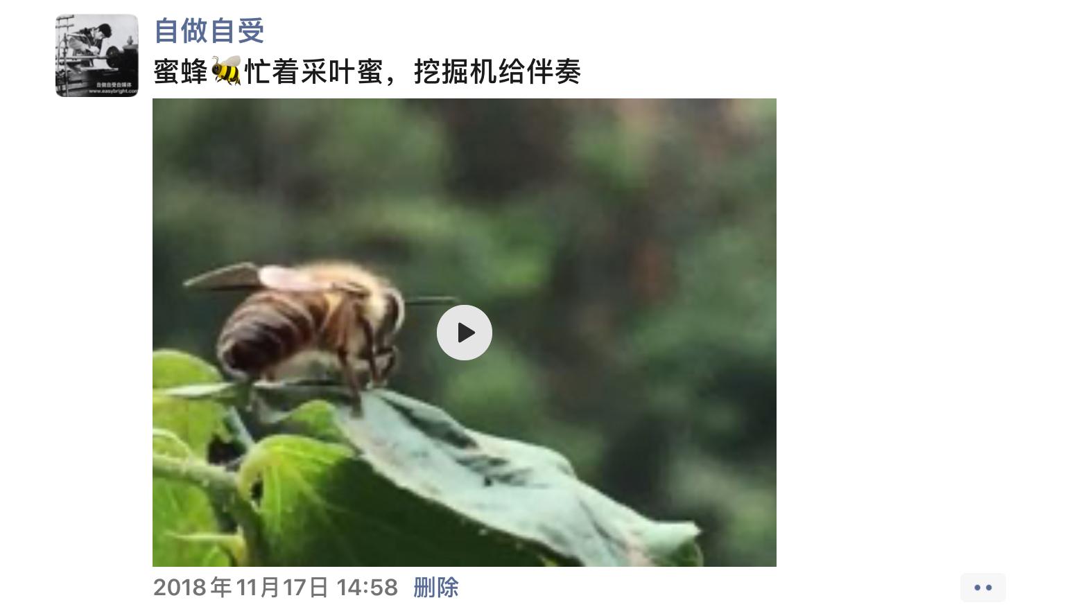 点击观看小视频